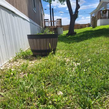 Endurance Ranch Lawn Services - You can see the grass was not trimmed. - Lawn Services Near Me Endurance Ranch Lawn Services - You can see the grass was not trimmed. - Lawn Services Near Me