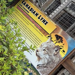 Animal Adventure Park