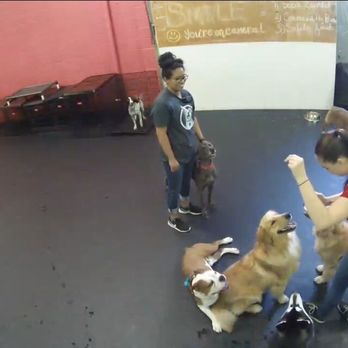 Dogtopia - Miramar - Pet Groomers Near Me - San Diego, California