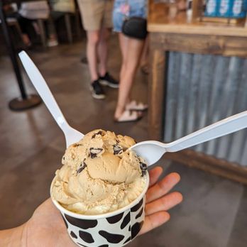 Hometown Creamery - coffee chip and butter pecan - Ice Cream & Frozen Yogurt Near Me - Wayne, New Jersey