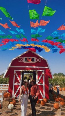 Sweet Eats Adventure Farm & Petting Zoo by null