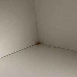 More dirt and dust in the cabinets. More dirt and dust in the cabinets.