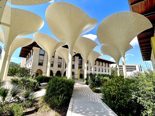 Blanton Museum of Art by null