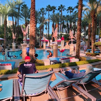 Flamingo Las Vegas - A Caesars Rewards Destination - This was the family pool. A bit small and kids yelling and splashing. - Hotels Near Me - Las Vegas, Nevada Flamingo Las Vegas - A Caesars Rewards Destination - This was the family pool. A bit small and kids yelling and splashing. - Hotels Near Me - Las Vegas, Nevada