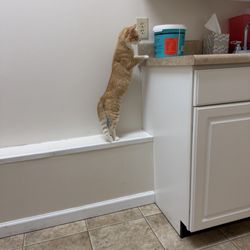 Carolina Forest Animal Clinic