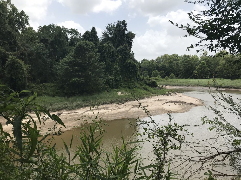 FRENCHTOWN ROAD CONSERVATION AREA Updated July 2024 17819 Frenchtown Rd, Greenwell Springs