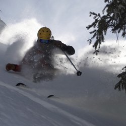Steamboat Powdercats - Nice north facing powder runs