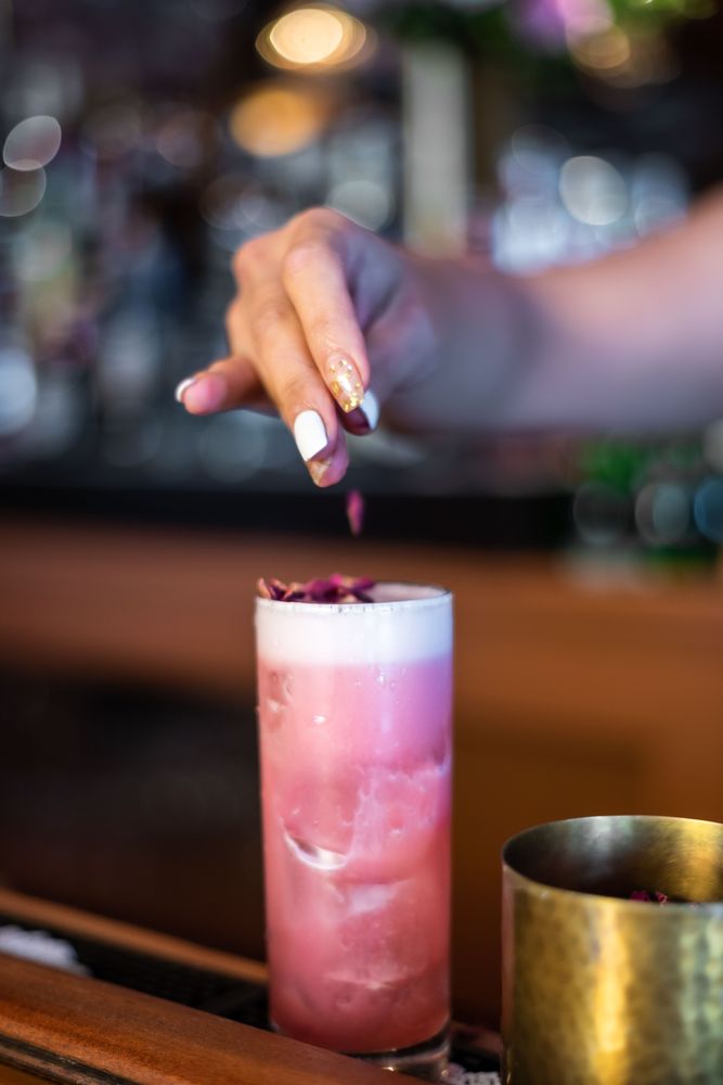 ABSOLUTTO CUISINE & BAR Updated April 2024 47 Photos & 11 Reviews