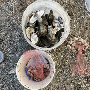 Forage Seattle - Food Tours Near Me
