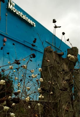 Warren G. Magnuson Park by null