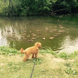 Duck Pond outside the pizza joint