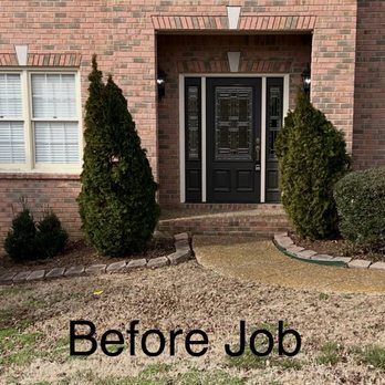 Zoom Drain - The day before the job. Trees slighting leaning: - Plumbing Near Me - Nashville, Tennessee