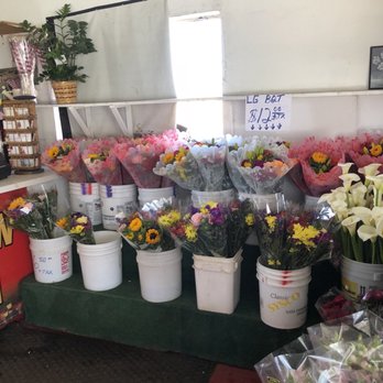 Color View Floral - Florists Near Me - Ventura, California Color View Floral - Florists Near Me - Ventura, California