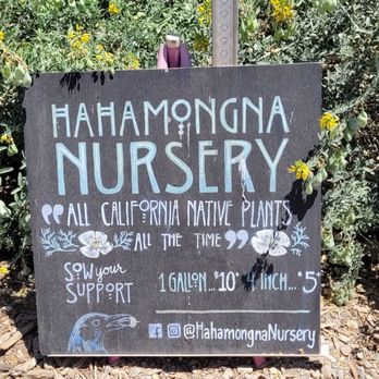 Hahamongna Native Plant Nursery - Nurseries & Gardening Near Me - Pasadena, California Hahamongna Native Plant Nursery - Nurseries & Gardening Near Me - Pasadena, California