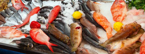 Osler Fish Market by null