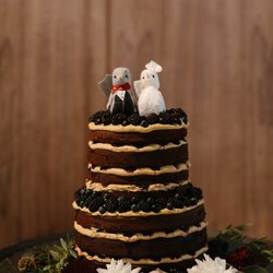 Wild Flours - Beautiful gluten-free wedding cake by Wild Flours.