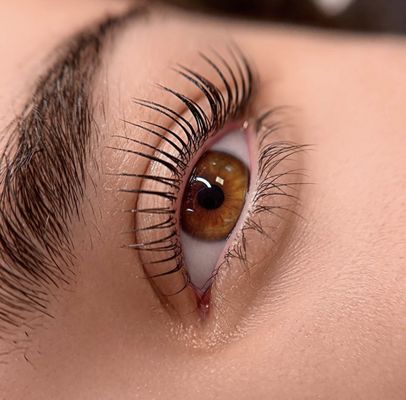 Lash Lifting + Tint - Lash Lifting + Tint Lash Lifting + Tint - Lash Lifting + Tint