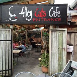 Alley Cats Cafe