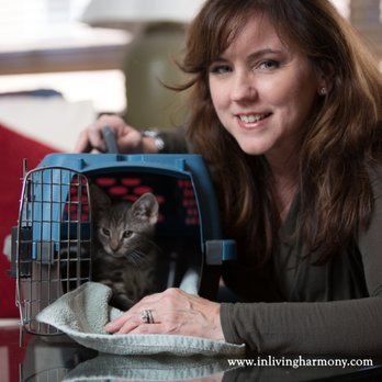 Living Harmony - Learn how to help your pet travel safely, calmly and happily with simple energy tools you can use yourself! - Life Coach Near Me - Hoboken, New Jersey