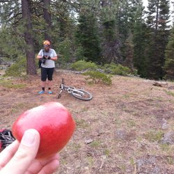 Tyler's Traverse Mountain Bike Trail