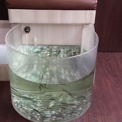 The Nibblers - One of the fish pedicure chairs.