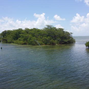 Island Grill - The view from my table! - Seafood Near Me - Islamorada, Florida