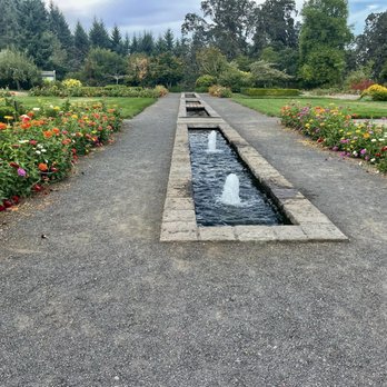 The Oregon Garden - August 24, 2025 - Fountains and flowers. - Botanical Gardens Near Me - Silverton, Oregon