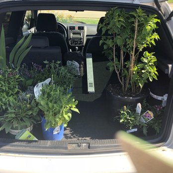 Platt Hill Nursery - Perennials and our lilac bush - Nurseries & Gardening Near Me - Bloomingdale, Illinois