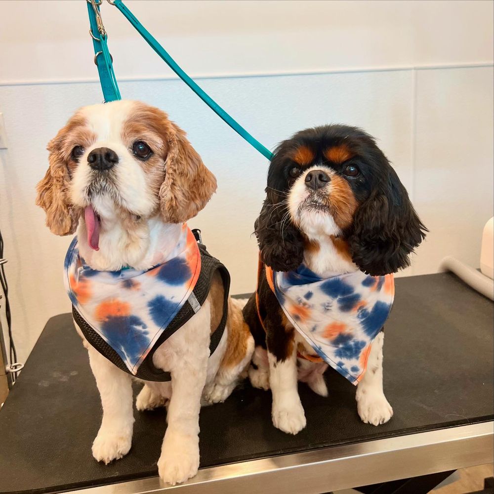 Annual Report, image size:1000x1000