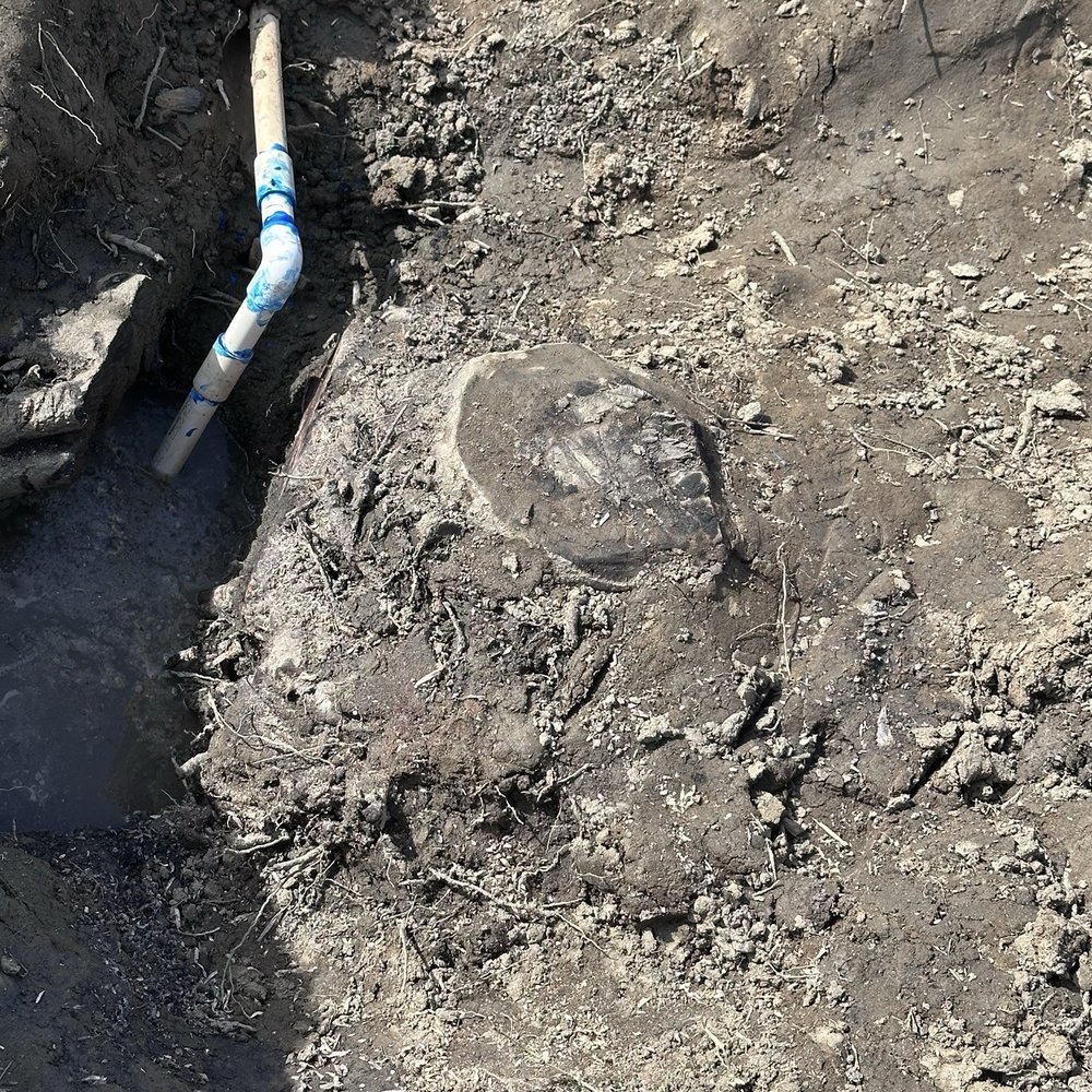 Arnold's Tree Service - My tree stump (prior owner) wrapped around my sprinkler and pool pipes which caused a leak. - Tree Services Near Me Arnold's Tree Service - My tree stump (prior owner) wrapped around my sprinkler and pool pipes which caused a leak. - Tree Services Near Me
