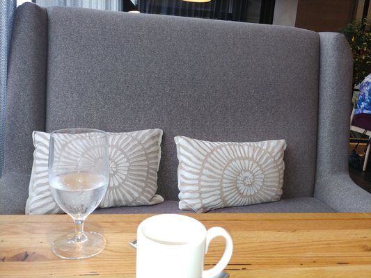 The Fig & The Judge by null