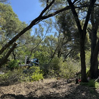 Westlake Land Management - Tree Services Near Me Westlake Land Management - Tree Services Near Me