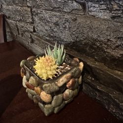 Sazon Peruvian Cuisine & Deli - Made my table special