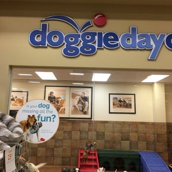 PetSmart - All these really cute furry friends at Doggy Daycare. - Pet Groomers Near Me - Torrance, California PetSmart - All these really cute furry friends at Doggy Daycare. - Pet Groomers Near Me - Torrance, California