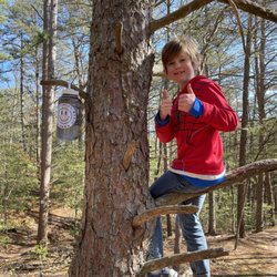My son in a tree.