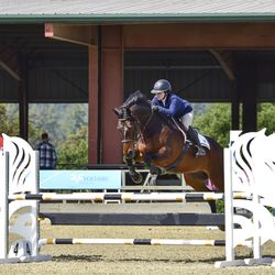 Vintage Lane - Lamborghini and Lara Connolly in the 1.10m jumpers at Woodside