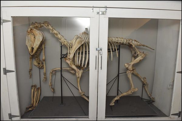 Gage Academy of Art by null