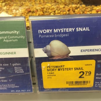 PetSmart - Snail - Pet Groomers Near Me - Mt Prospect, Illinois