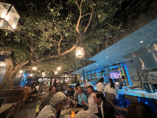 Blue Bayou Restaurant & Oyster Bar by null