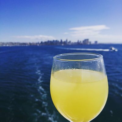 City Cruises by null