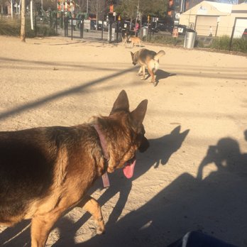 Truitt Bark Park - Dog Parks Near Me - Sacramento, California