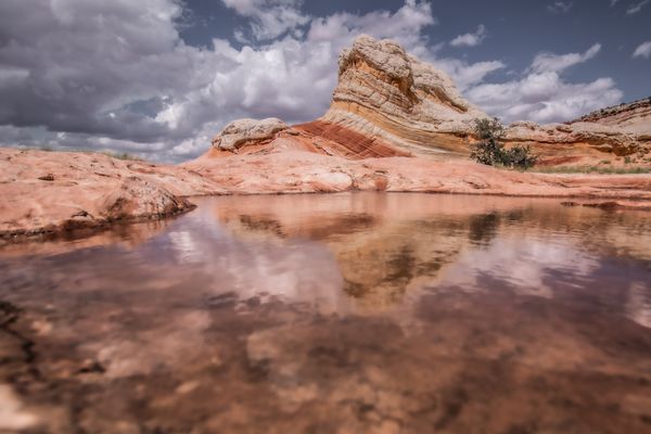 Dreamland Safari Tours by null