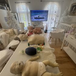 The Heart CPR - CPR manikins