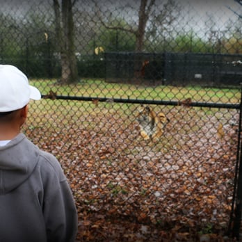 Noah's Ark Animal Sanctuary - Animal Shelters Near Me - Locust Grove, Georgia