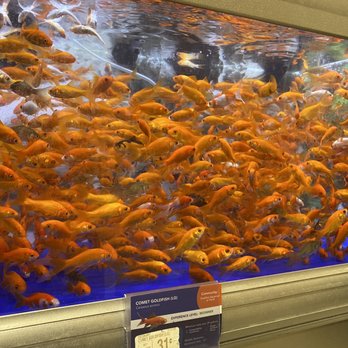 PetSmart - Pet Training Near Me - Catonsville, Maryland