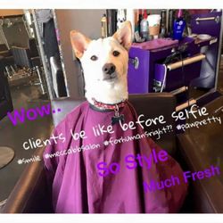 Mecca Beauty Bar & Salon