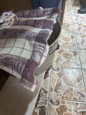 El Pocito by null