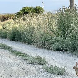 Roam N Board - The road leading up to the boarding facility.