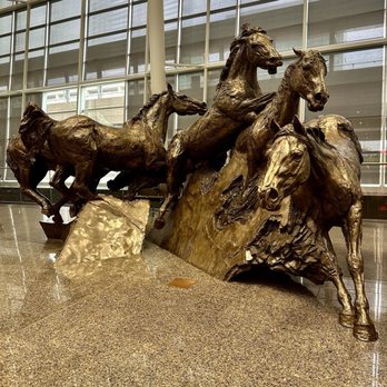 YYC Calgary International Airport - Airports Near Me - Calgary, Alberta YYC Calgary International Airport - Airports Near Me - Calgary, Alberta