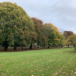 Schönwasserpark